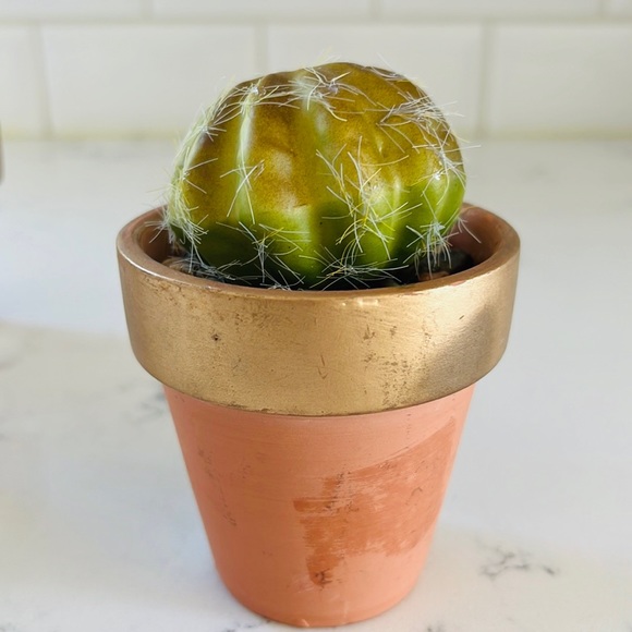 Pier 1 set of three faux mini decorative cactus - Picture 10 of 15